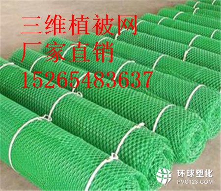 昆明三維植被網(wǎng)護(hù)坡15265483637