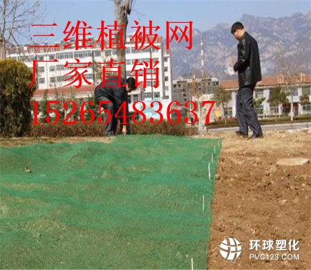 博爾塔拉三維植被網(wǎng)價(jià)格15265483637