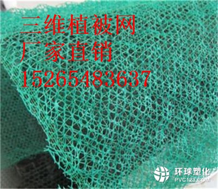 三亞三維植被網(wǎng)護坡15265483637