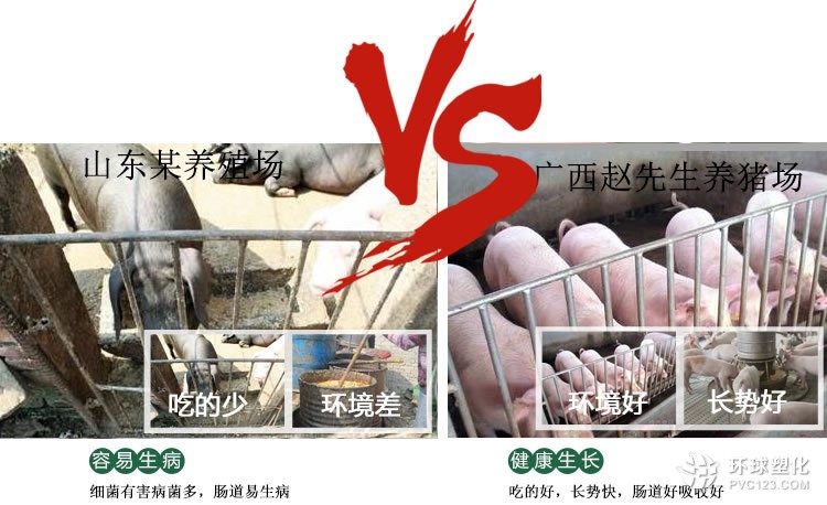 發(fā)酵泔水喂豬