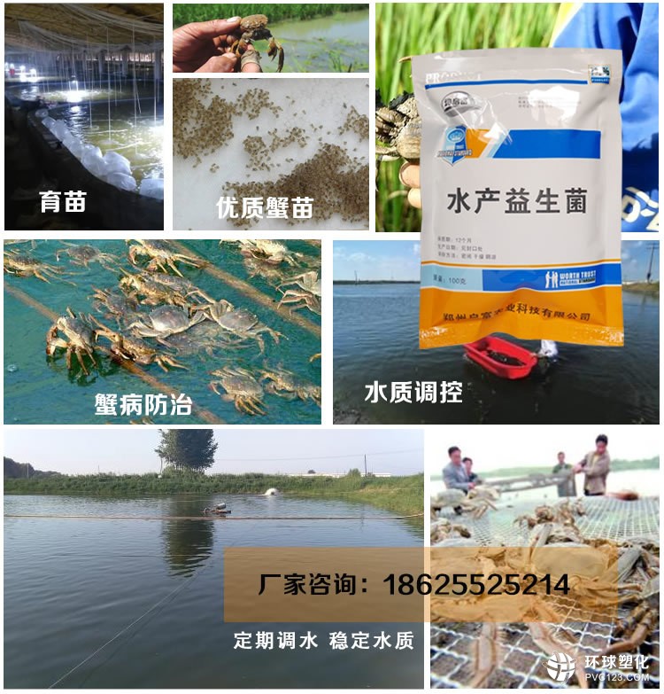 水產(chǎn)益生菌養(yǎng)蟹