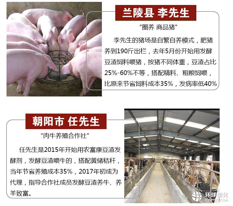 發(fā)酵豆渣喂豬