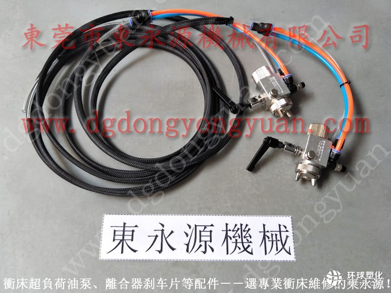 中山轉(zhuǎn)子沖壓送料涂油機(jī) DYT -300